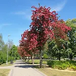 Garden & Private Parking With Playground * Riga