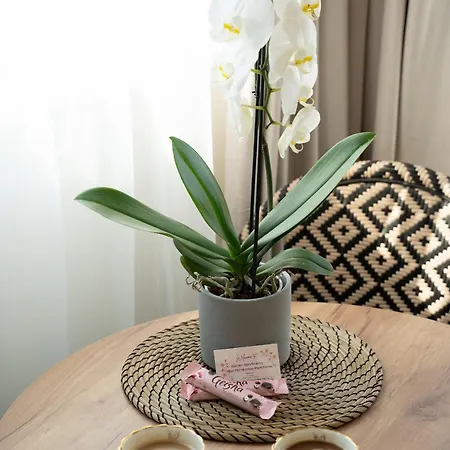 Garden & Private Parking With Playground