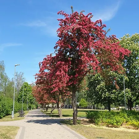 Garden & Private Parking With Playground * Рига