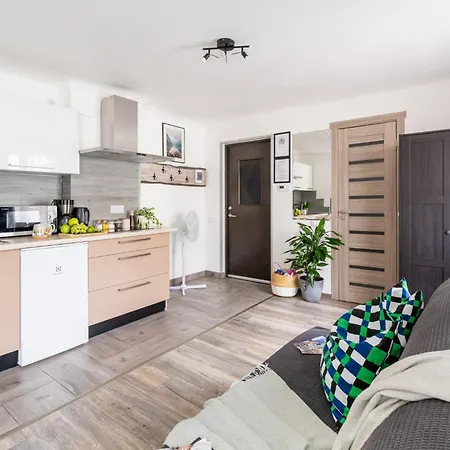 Garden & Private Parking With Playground Riga