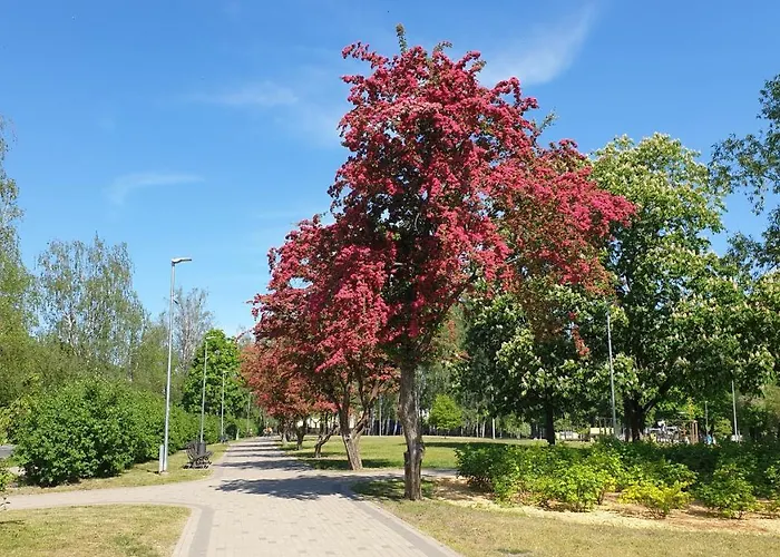 Garden & Private Parking With Playground * Riga