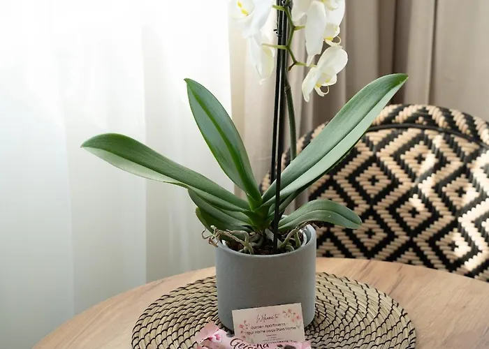 Garden & Private Parking With Playground