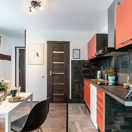 Garden & Private Parking With Playground Рига